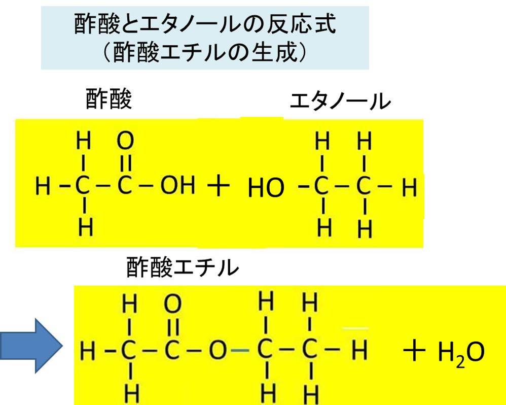 酢酸 ビニル 構造 式